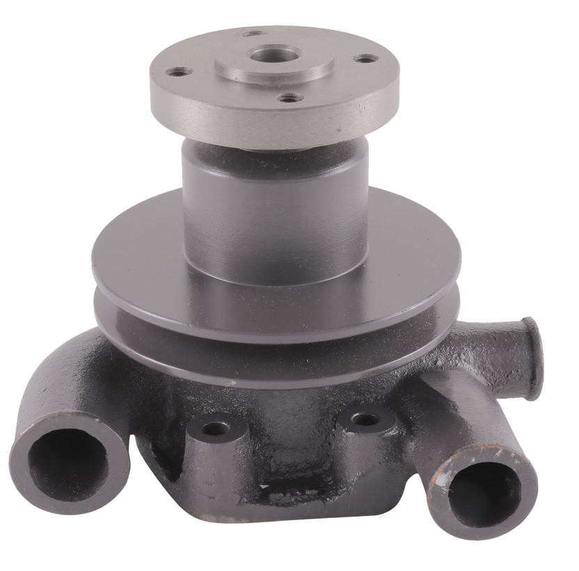 Water Pump Assy Massey Ferguson/TAFE 25 J-Series, Eicher 380/480  (241/242 Big Pully)